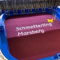 Stickmaschinen Bild Schmetterling Marsberg