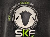 SKF Stick Logo